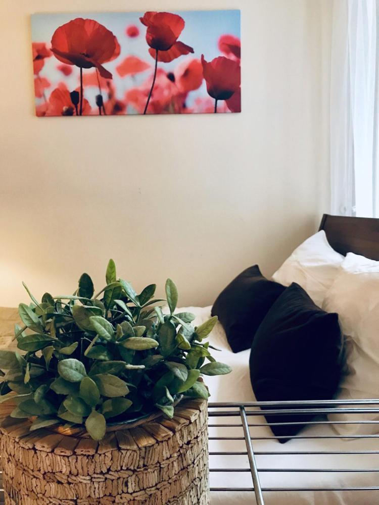 Elegancia Apartman